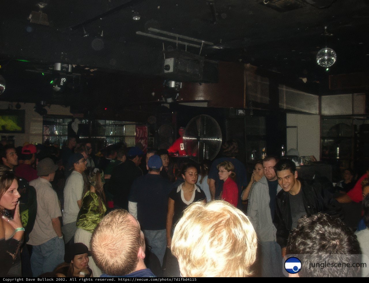 Nightlife in Full Swing