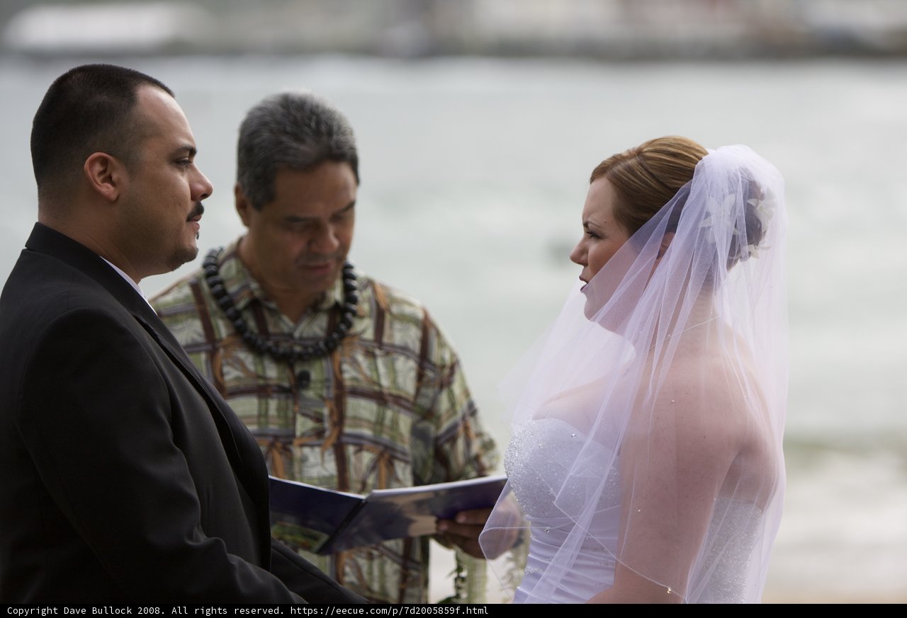 Beach Wedding Bliss