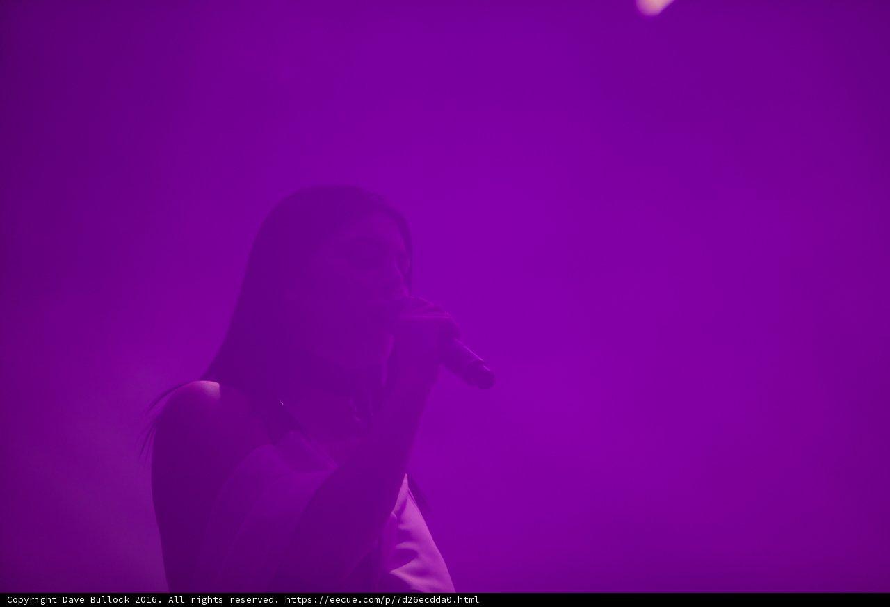 Purple Haze Performance