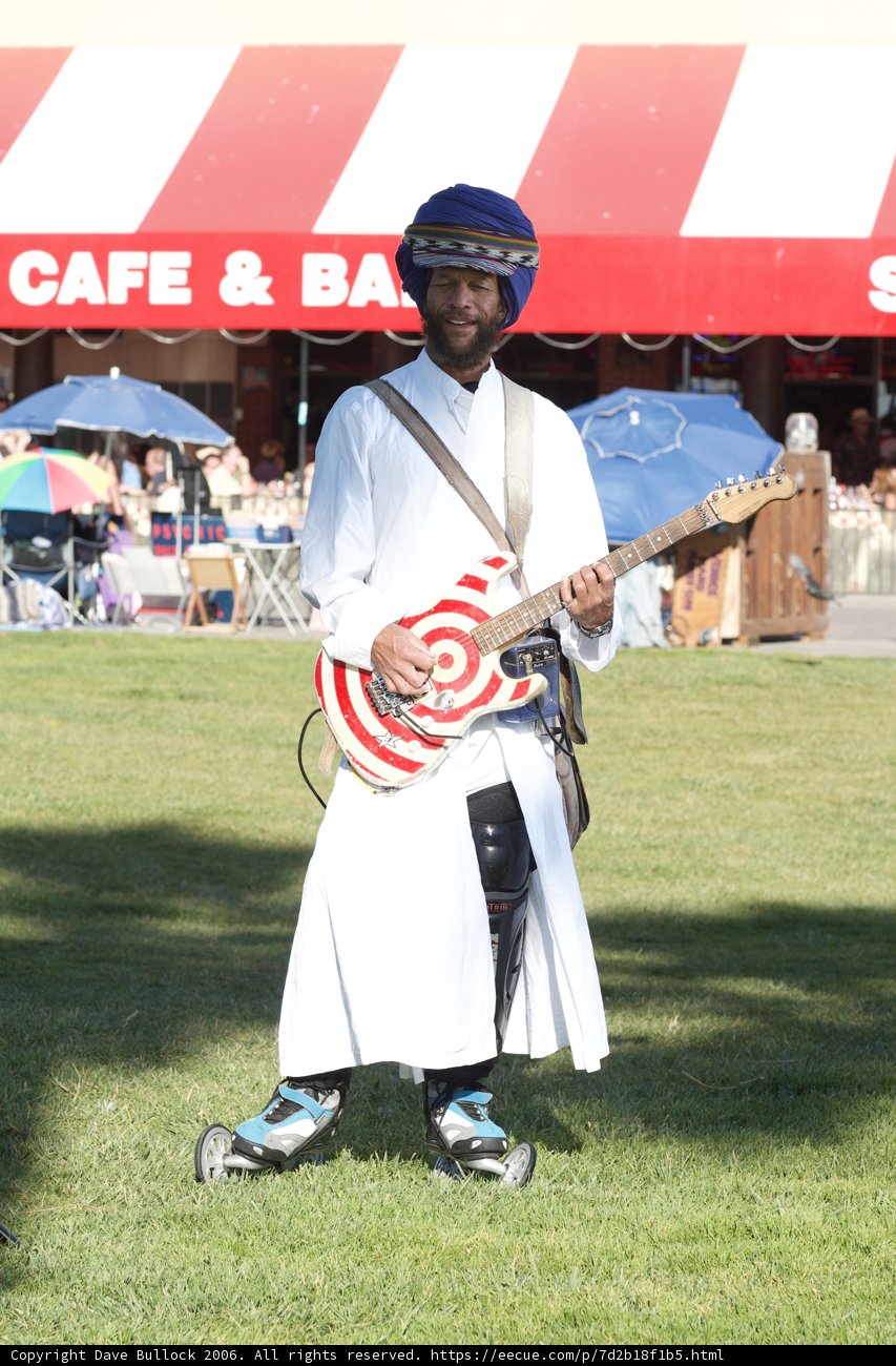 Skateboard Serenade