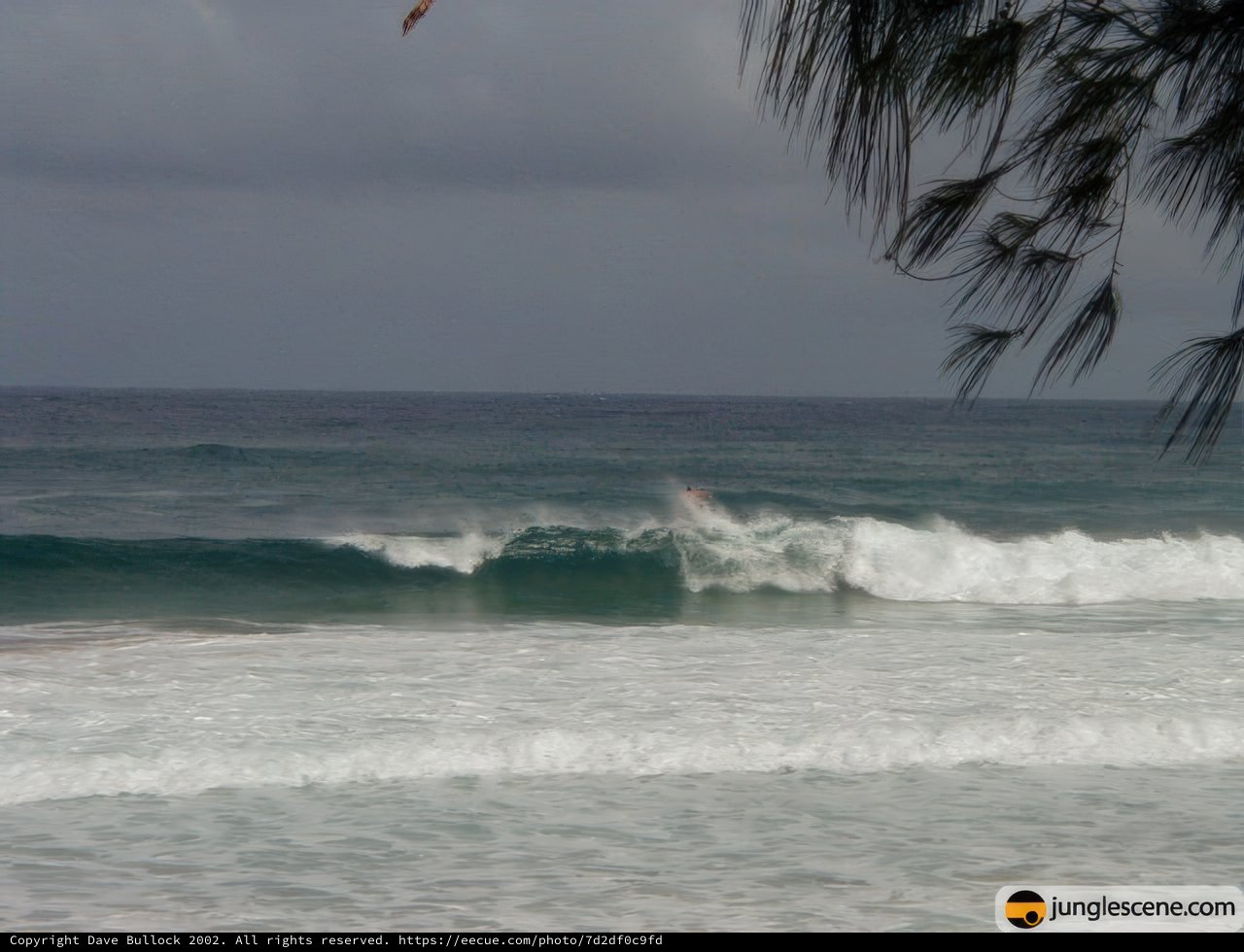 Riding the Waves