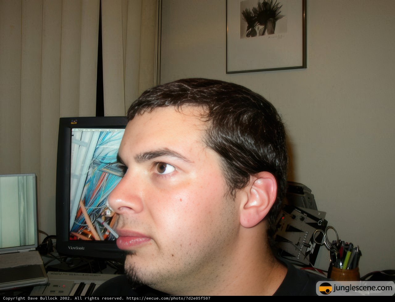 Man at the Computer