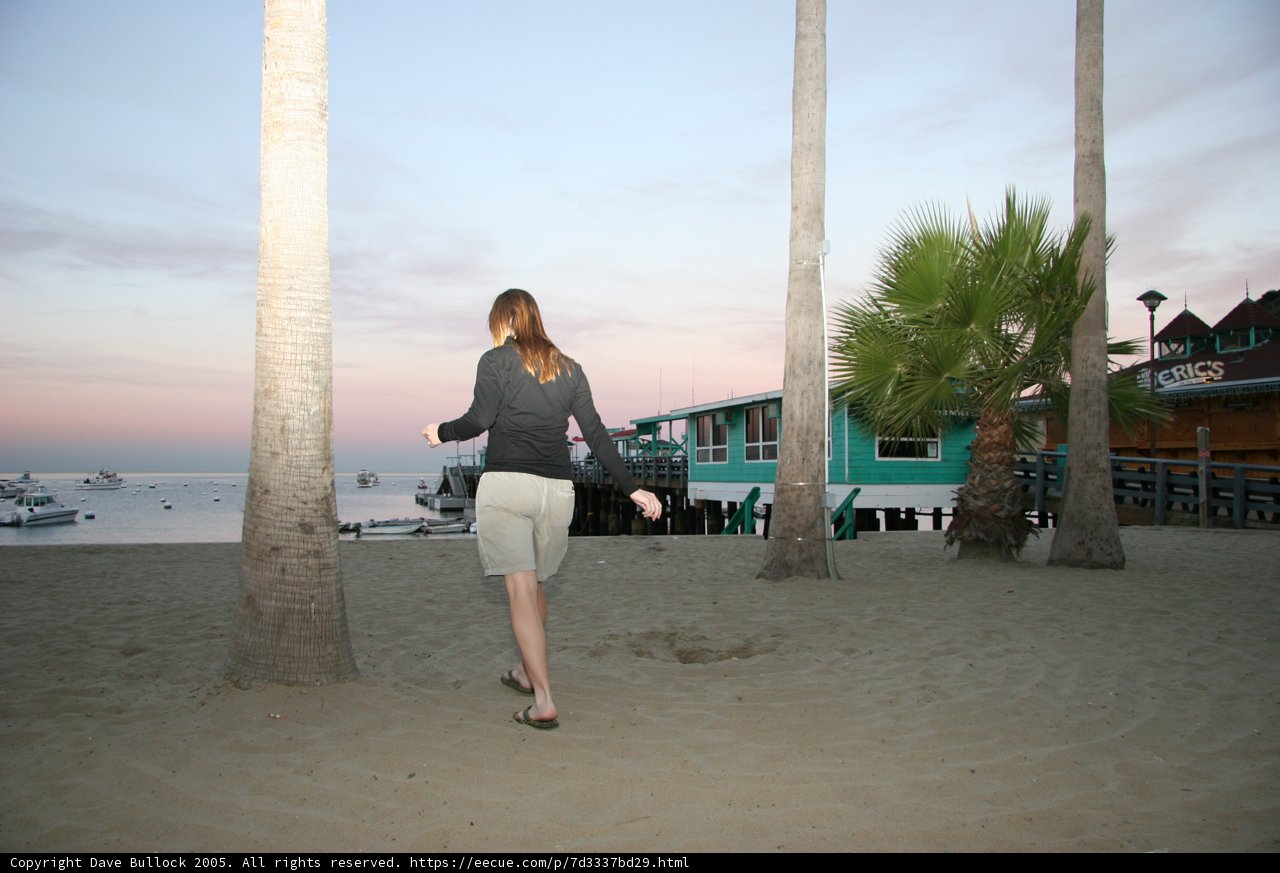 A Relaxing Stroll on the Sandy Beach