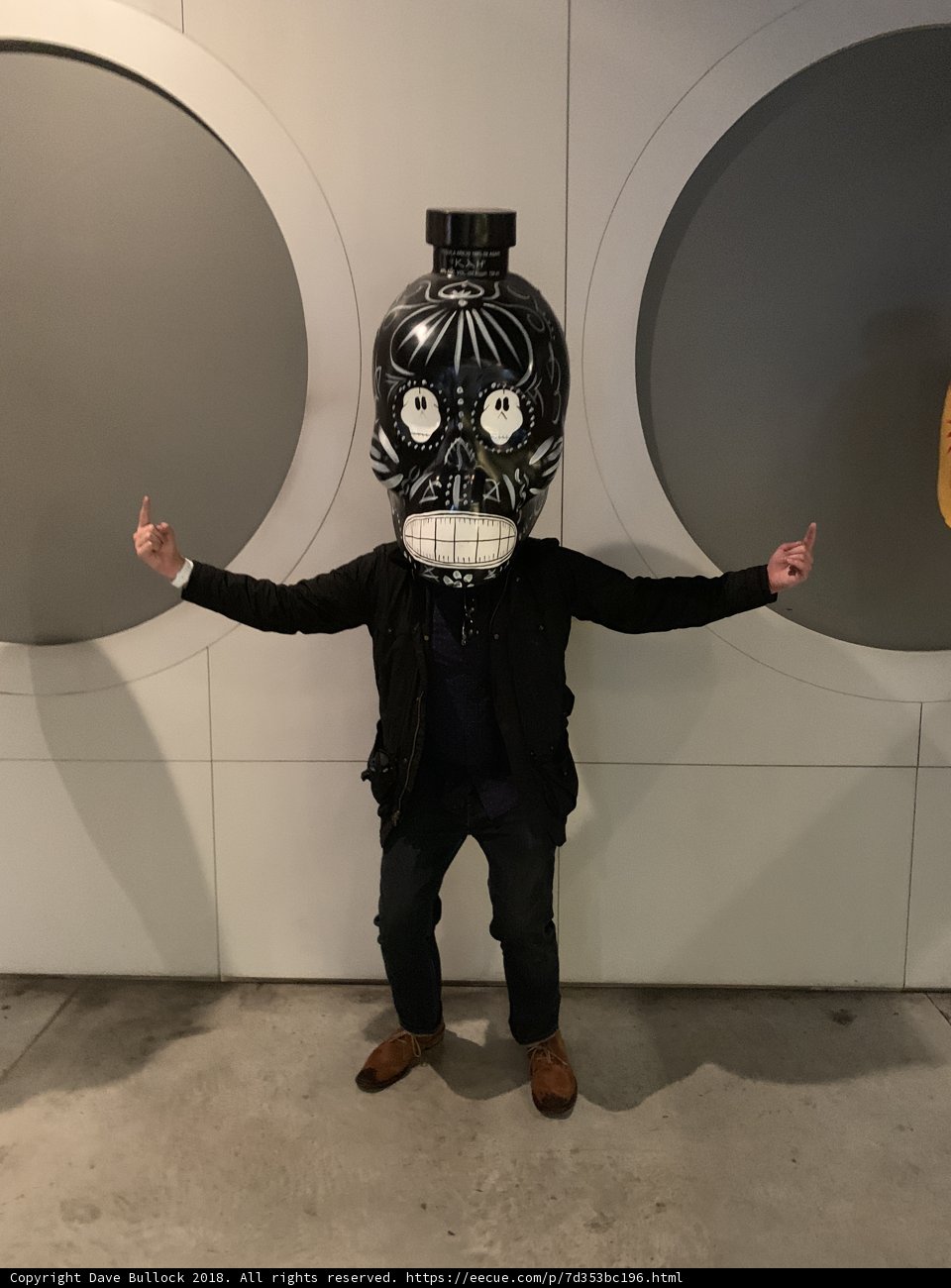 The Masked Pose