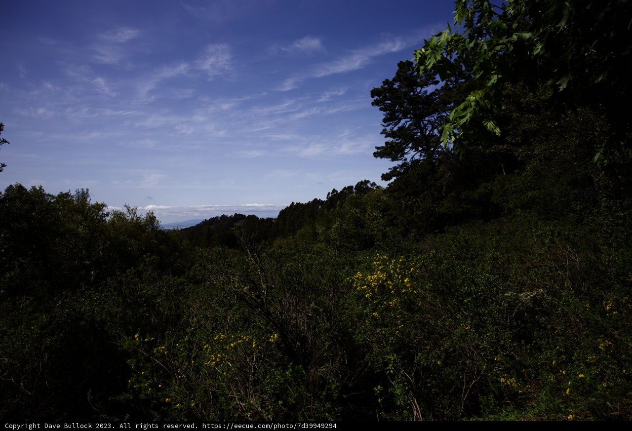 Serenity in Tilden Park, California