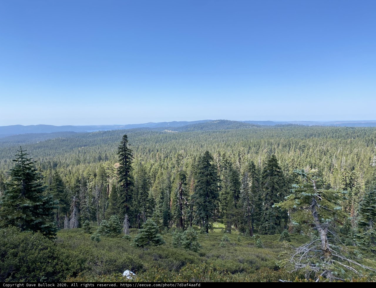 Majestic Mountain view amidst the Woodlands