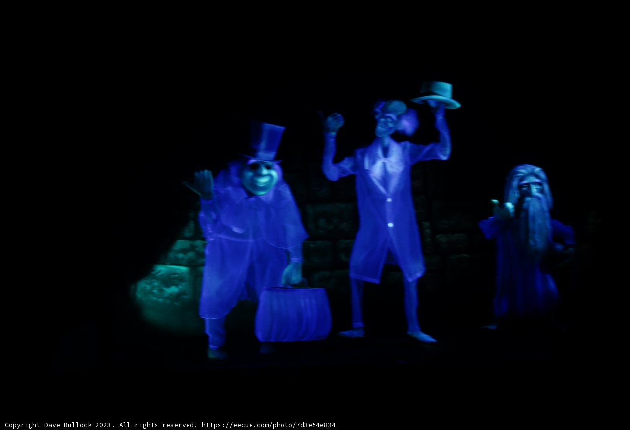 Spooky Shenanigans at Disneyland's Haunted Mansion