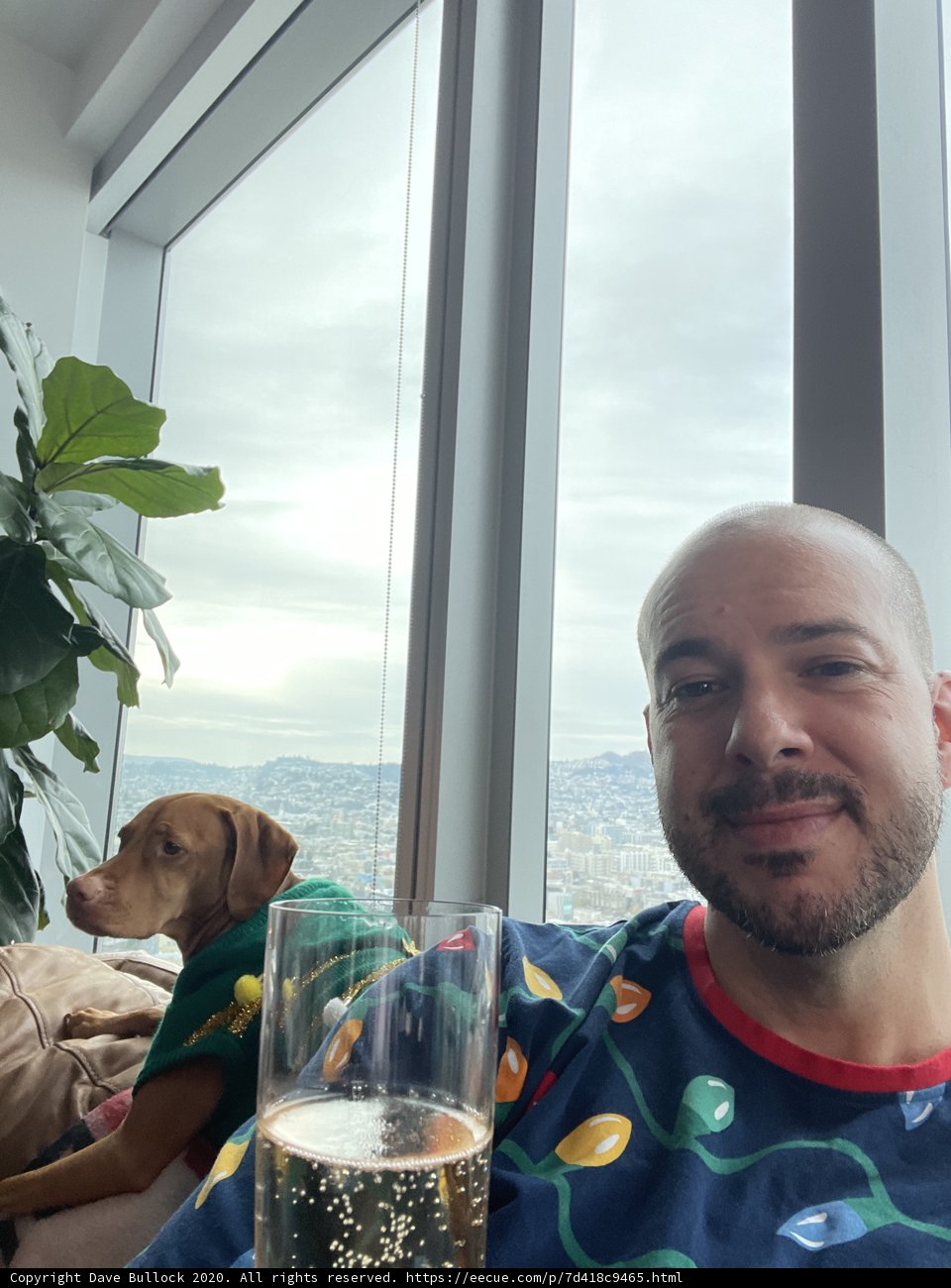 Man and his Loyal Dog