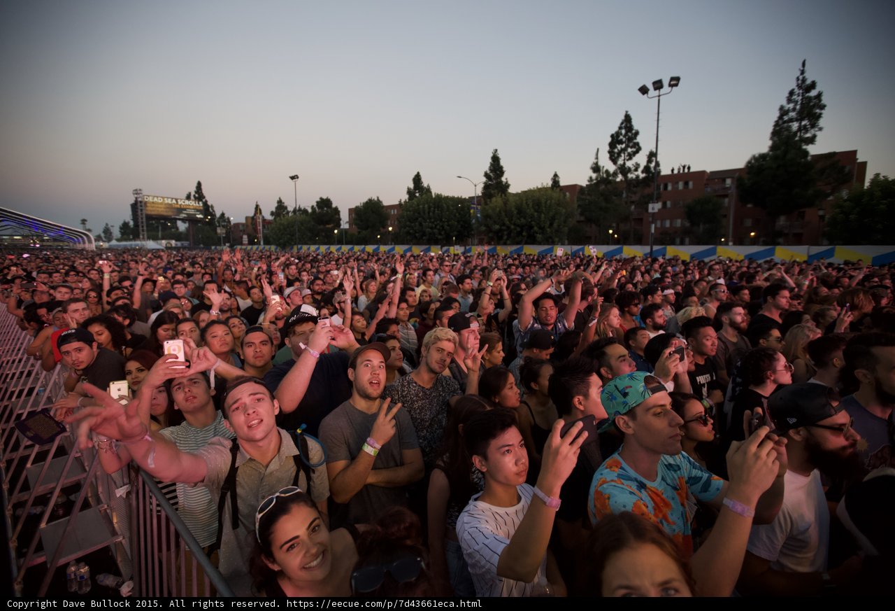 Peace Sign Festival Crowd