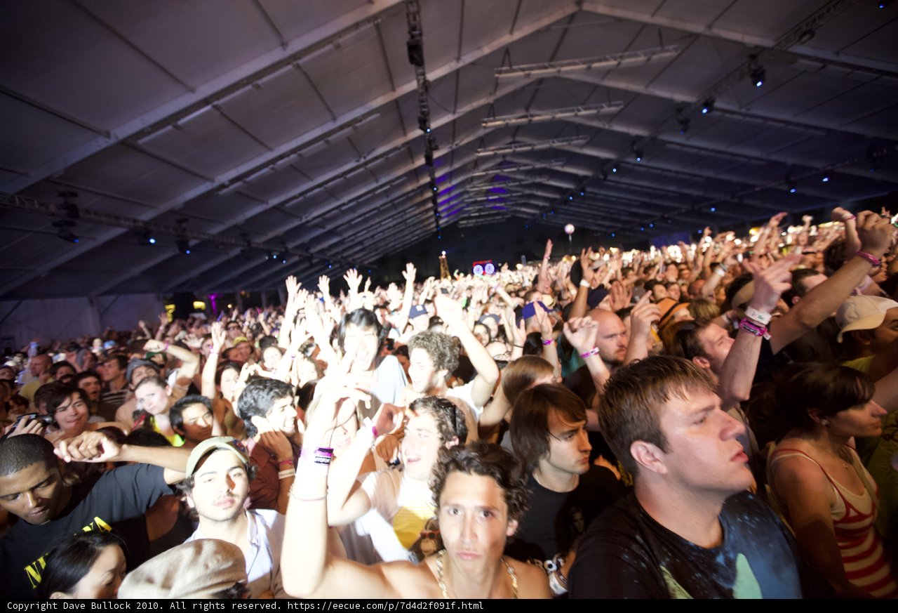 Ecstatic Crowd at Coachella Music Festival