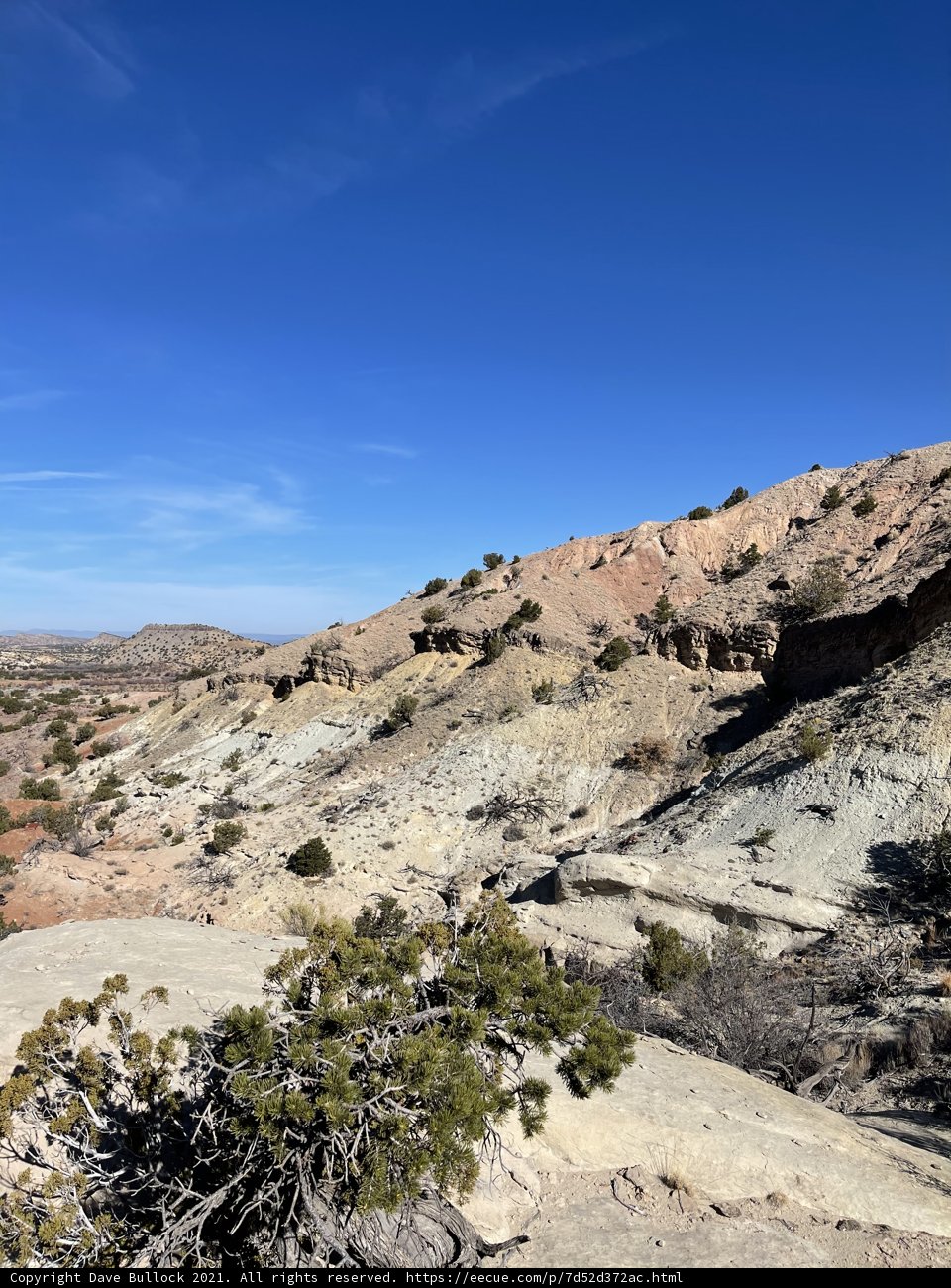 Majestic Desert Scenery