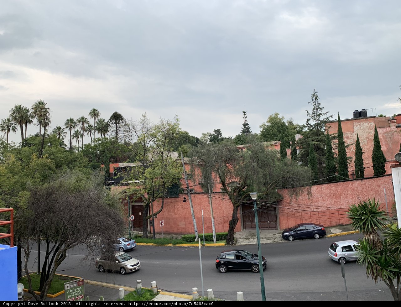 City Street with Cars and Trees