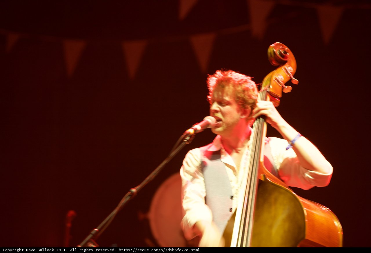 The Melodic Bassist