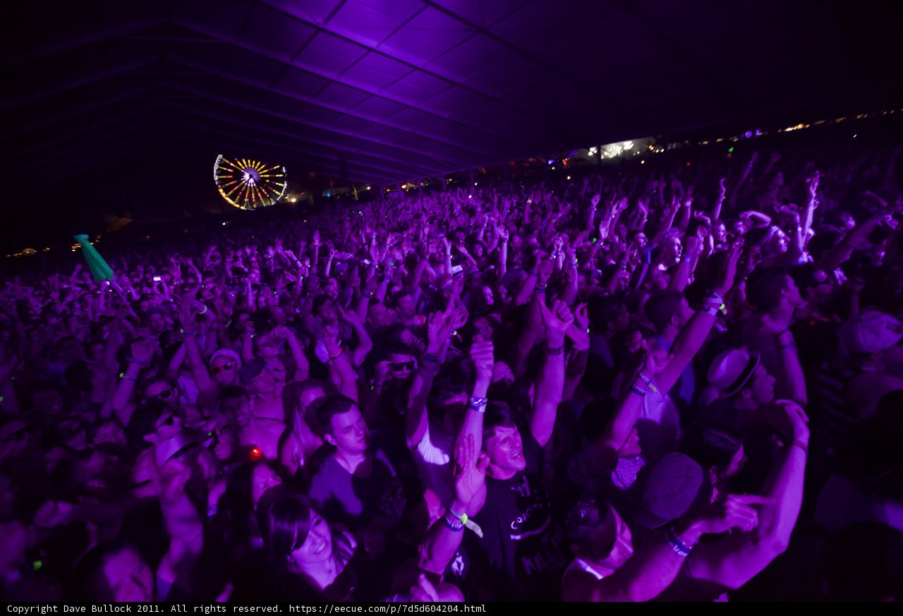 Coachella 2011: Party in the Crowd
