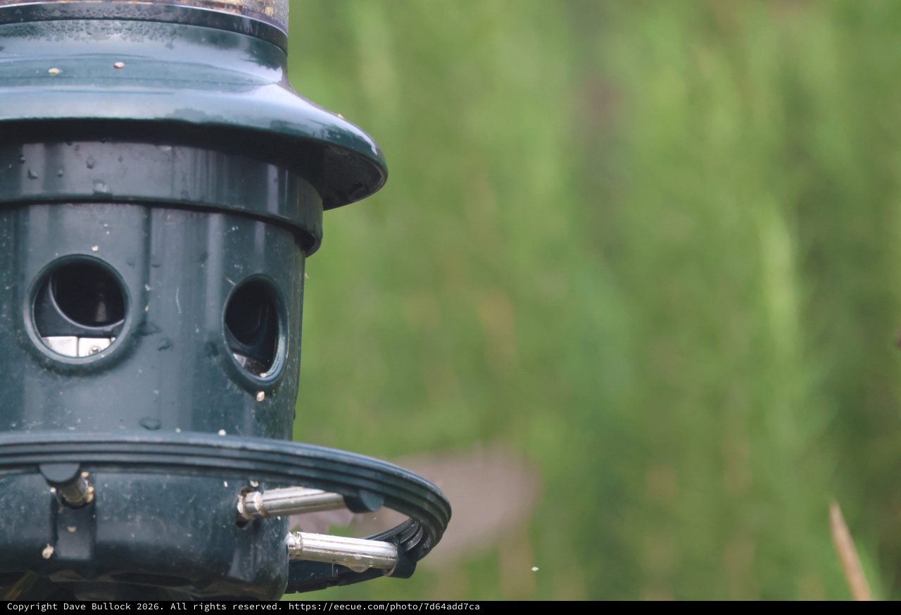 Green Tube Bird Feeder in Natural Garden Setting