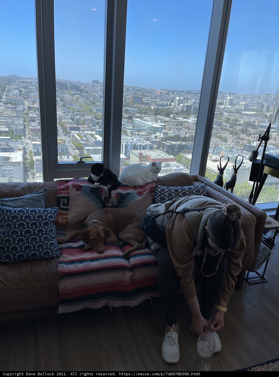 Cozy Living Room with Companions
