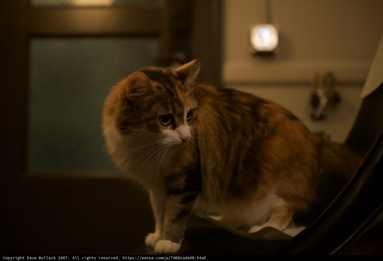 Midnight Watchman