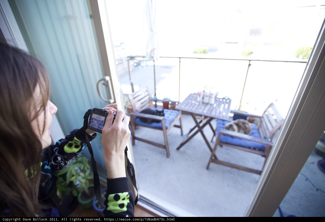 Capturing Memories
