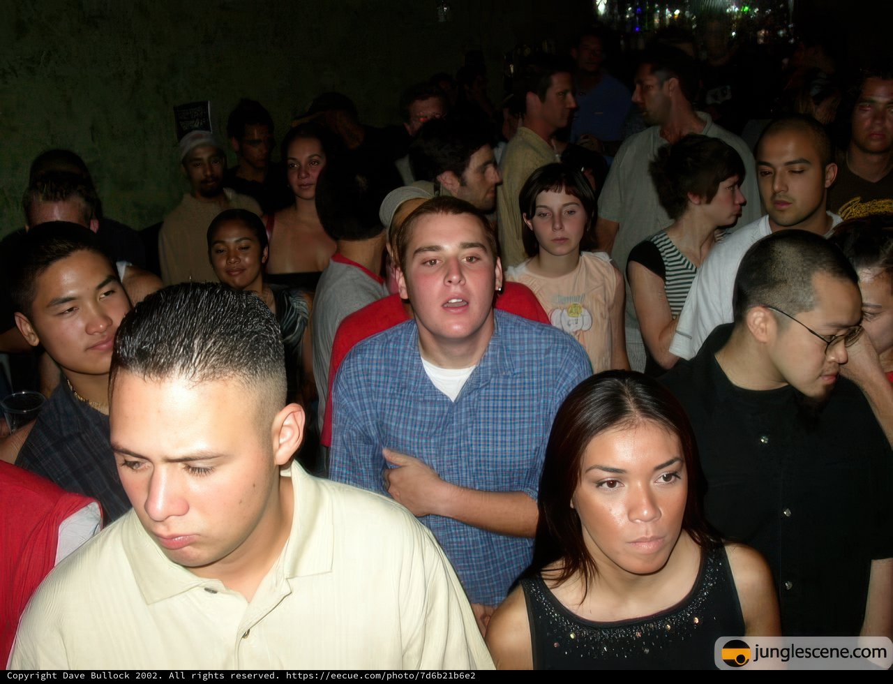 Packed Nightclub Scene