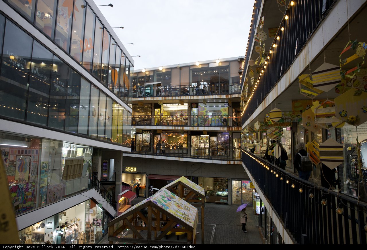 A Vibrant Pulse - Shopping Haven of 2024, Korea