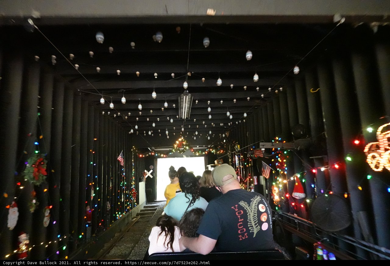 A Festive Family Walk in the Tunnel of Lights
