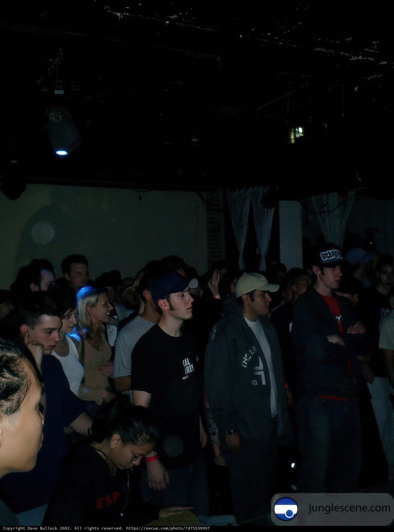 Nightclub Crowd