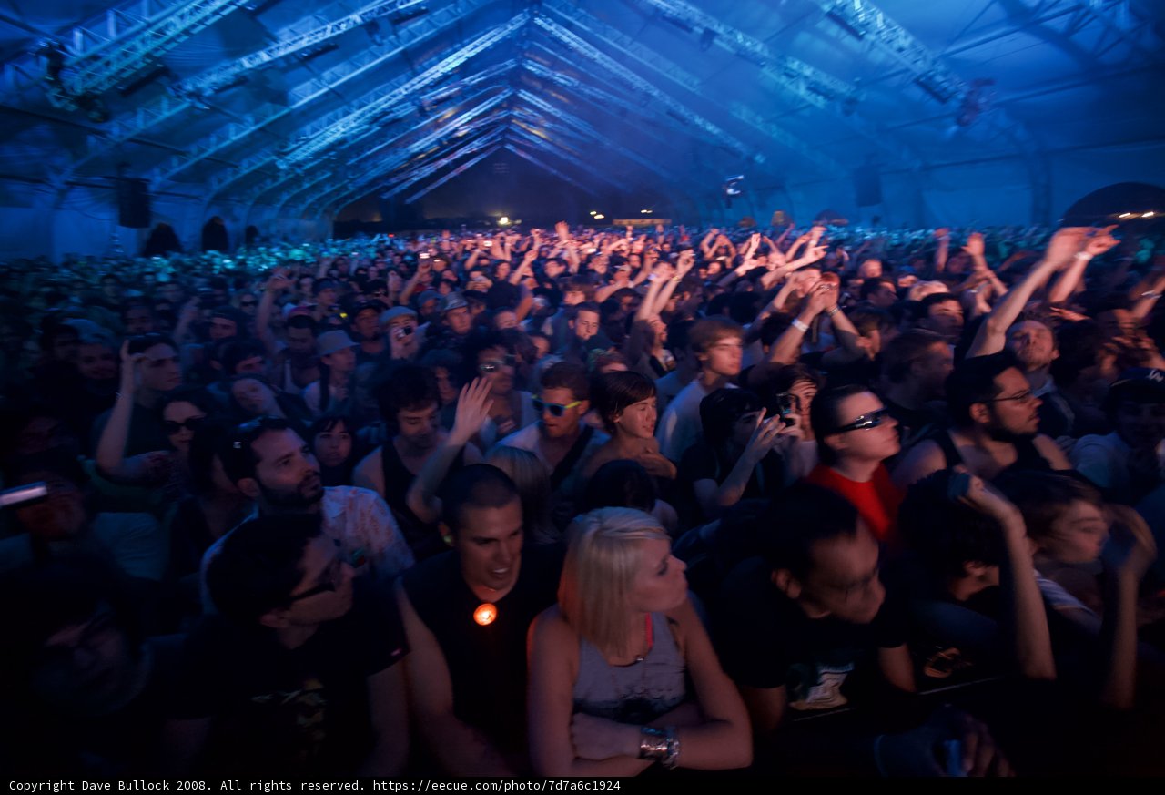 2008 Coachella Crowd Goes Wild