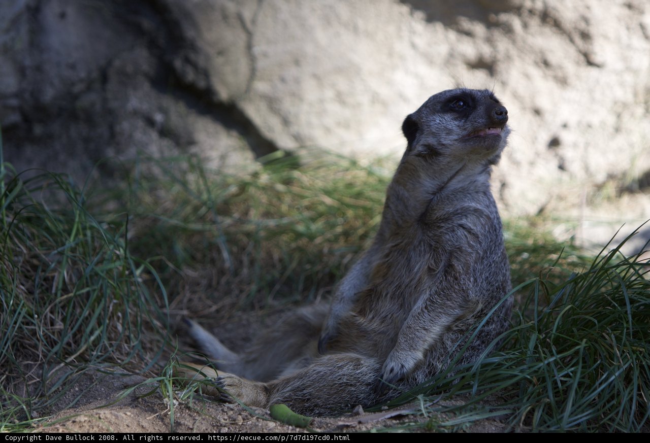 Observation in the Prairie