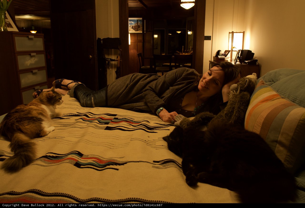 Woman Relaxing on Bed with Two Cats
