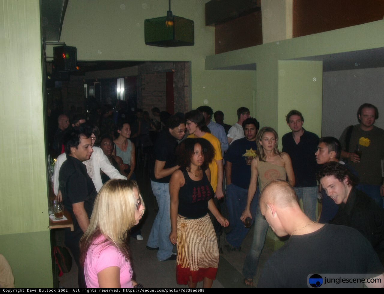 Nightclub Gathering