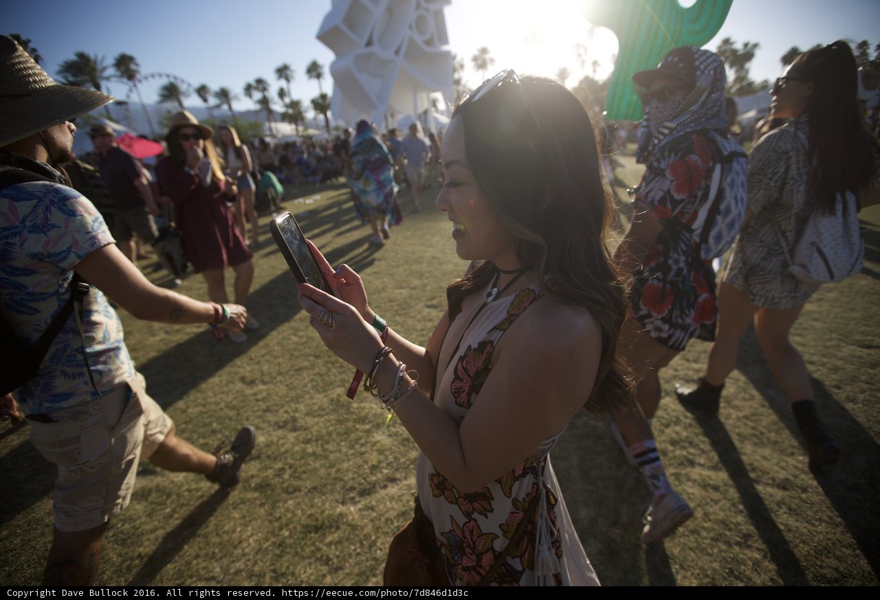 Festival Snapshot