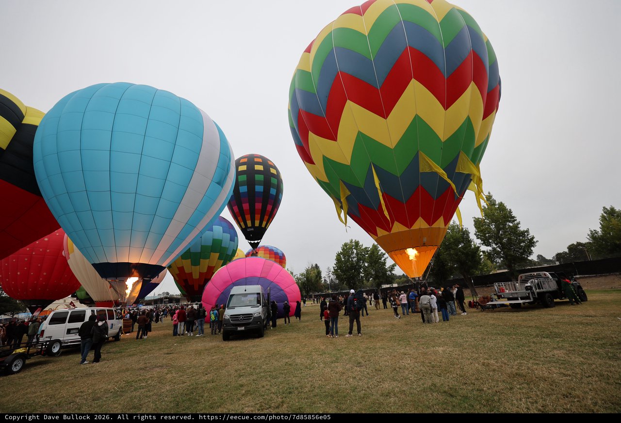 Colorful Hot Air Balloons Launch at Sonoma County Classic
