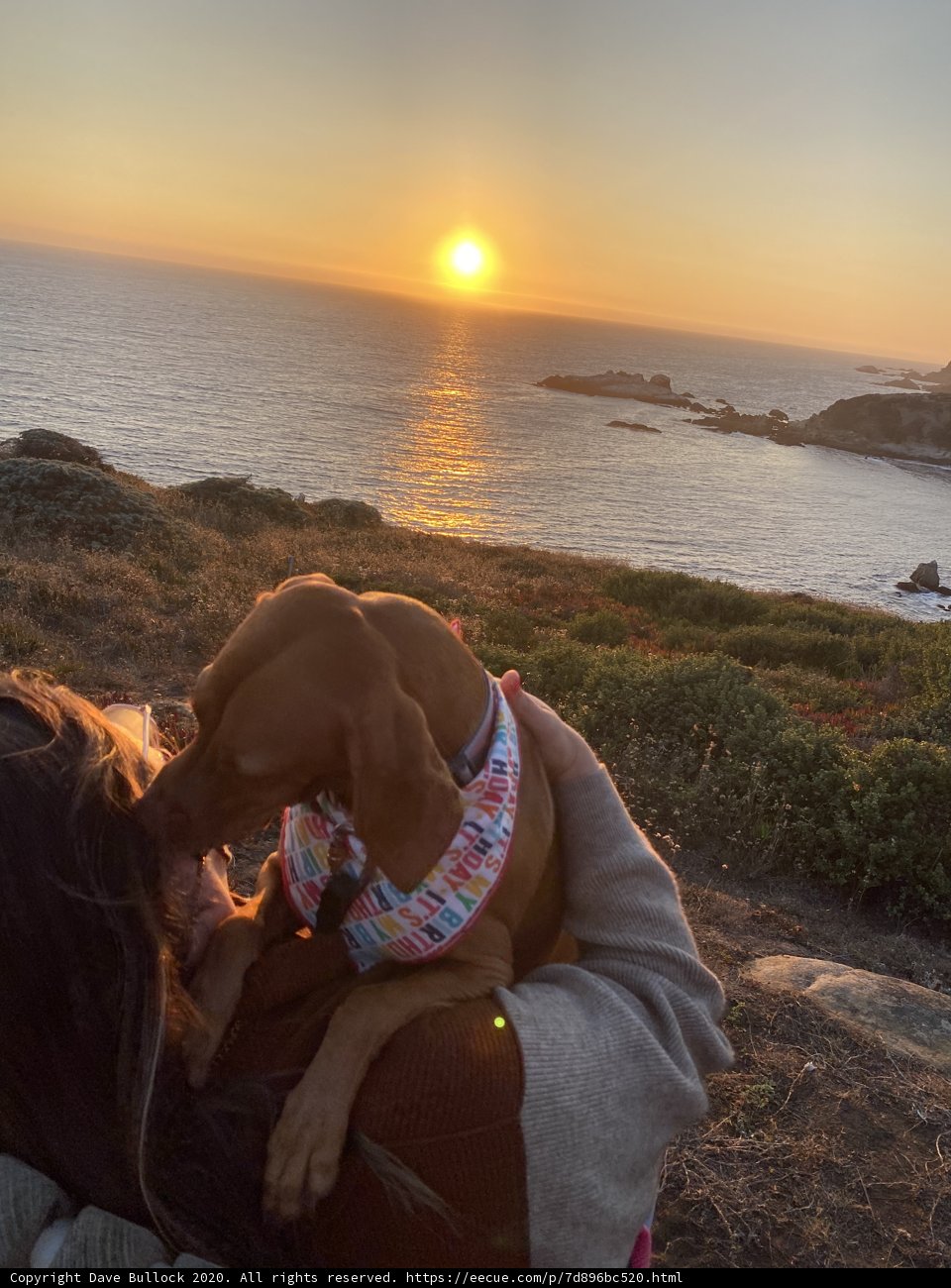 Sunset Serenity with Woman and Pup