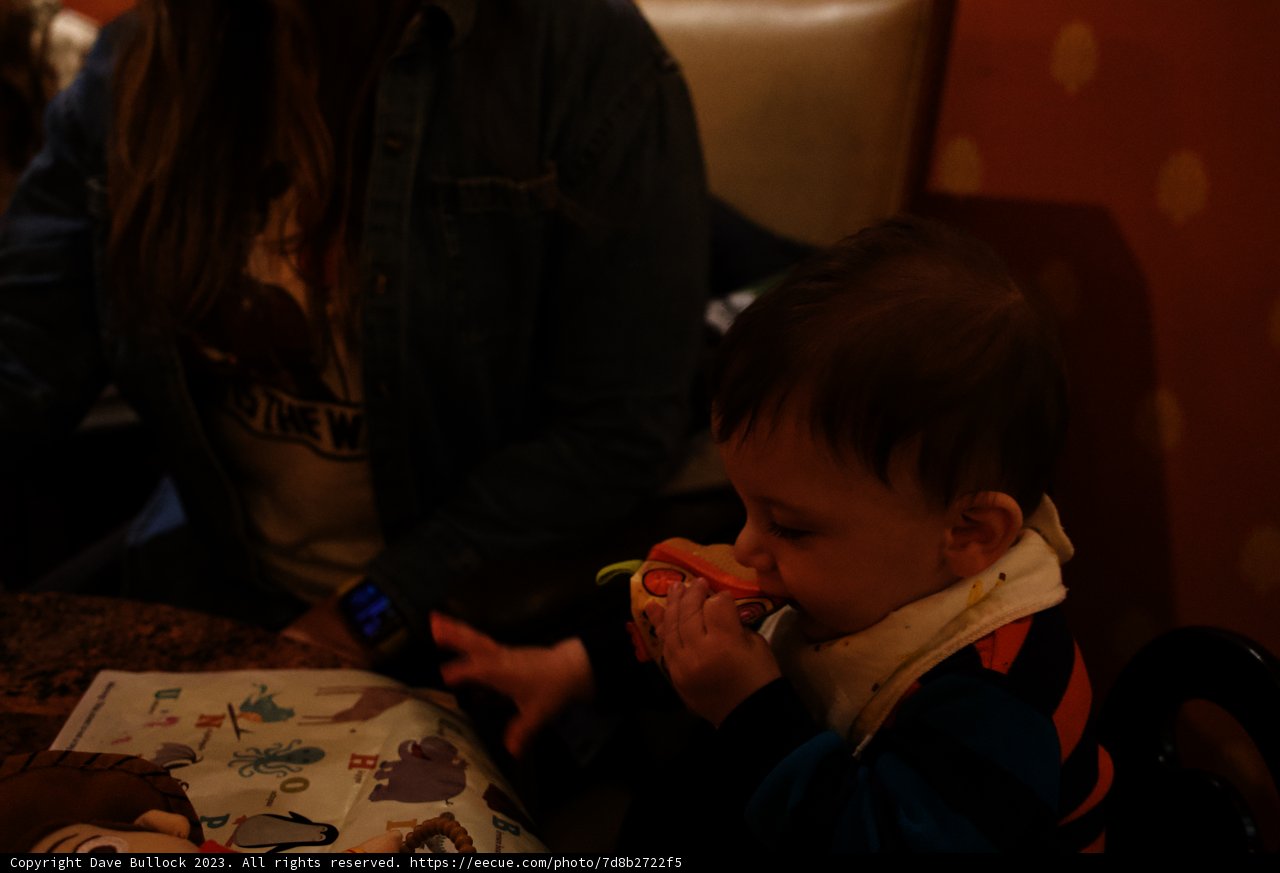 Baby's Pacifier Feast