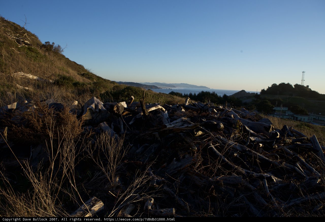 Woodpile on the Hill