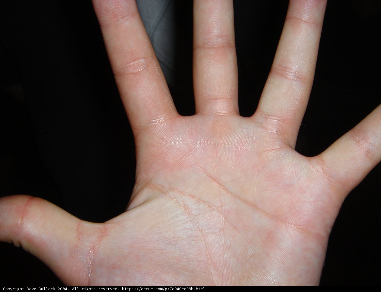Five Fingers Up Close