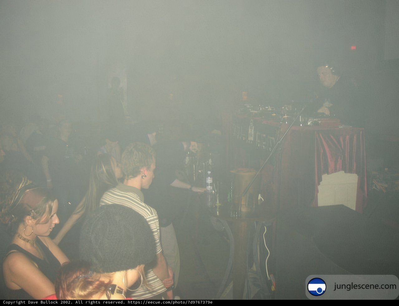 Nightclub Crowd