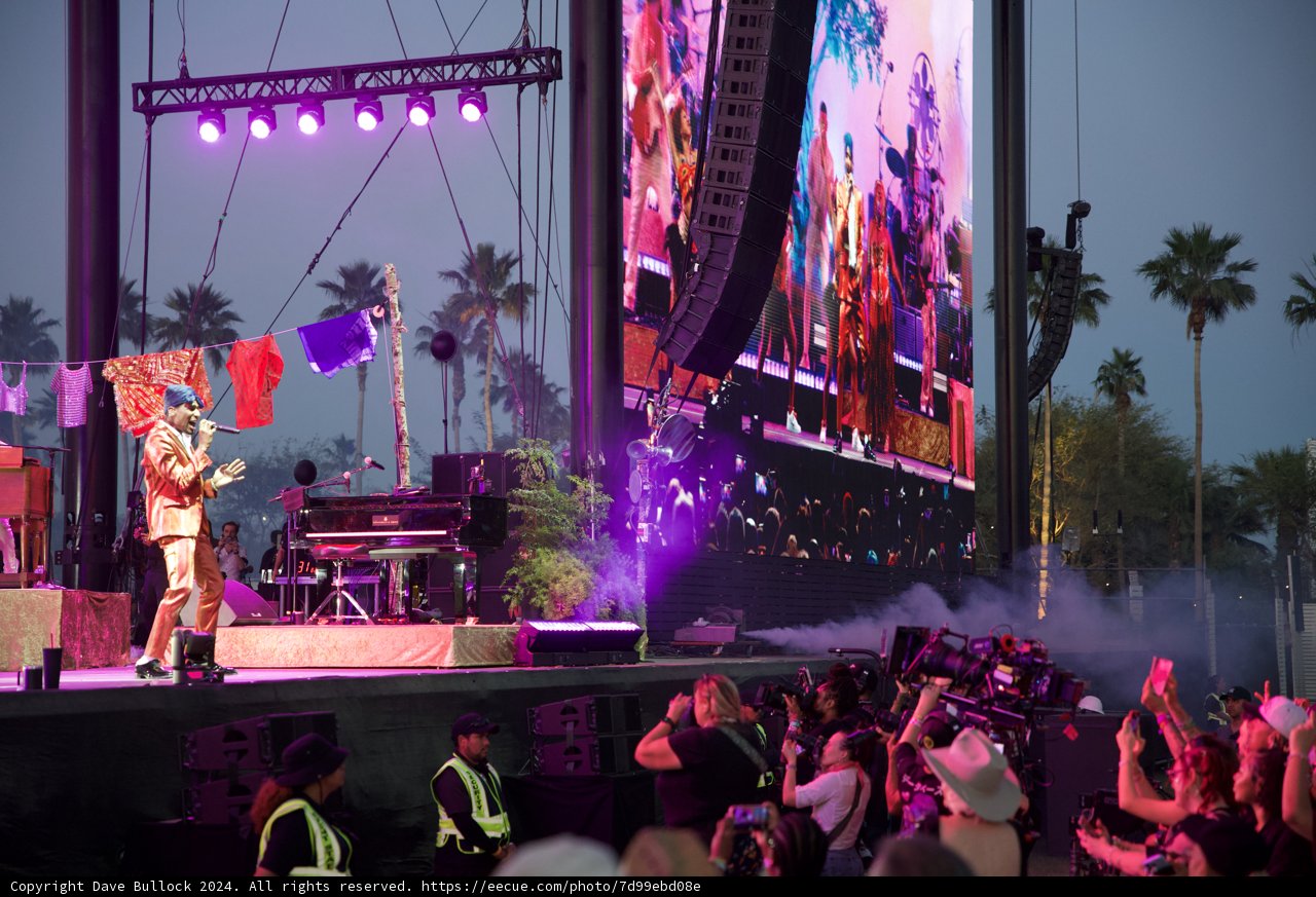 Vibrant Rhythms Under Palm Trees: Coachella 2024