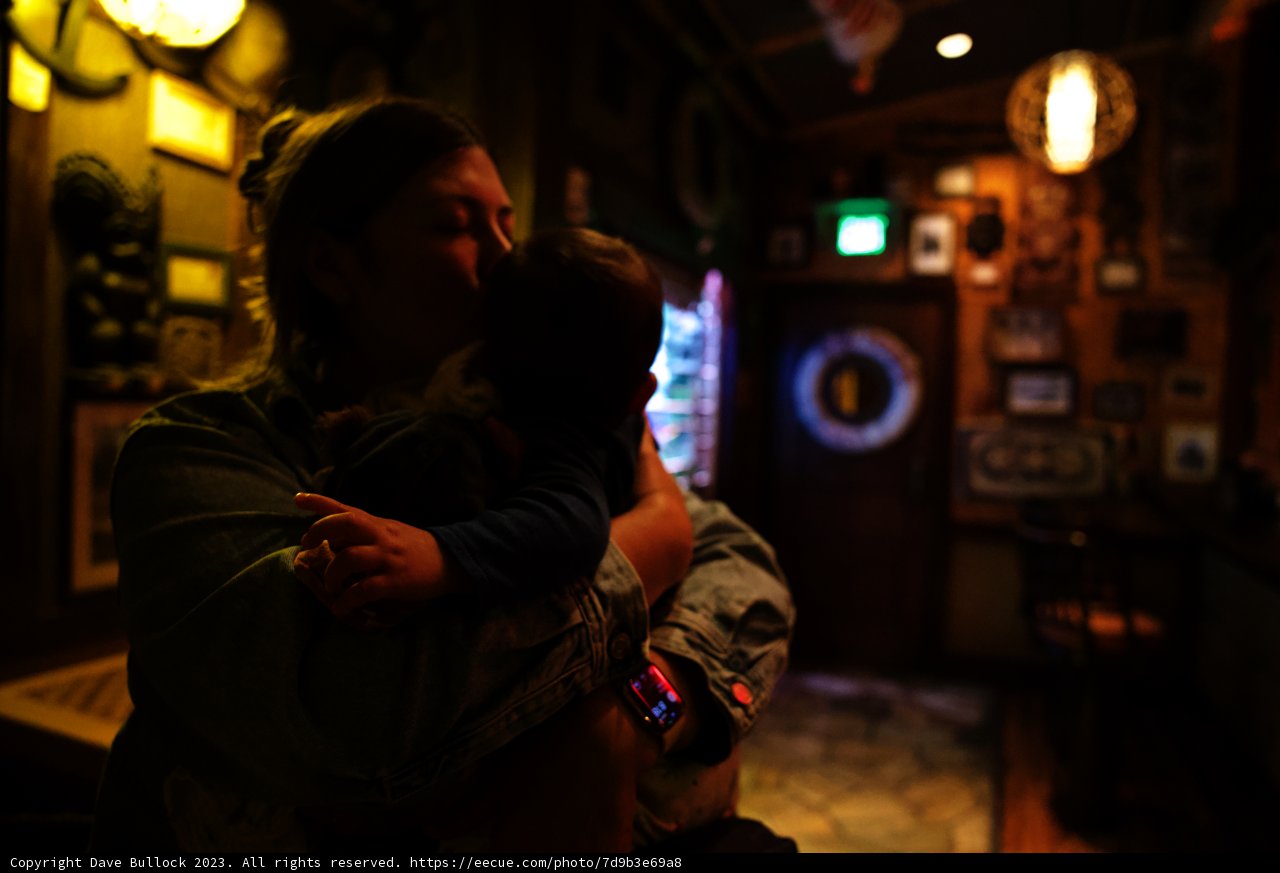 Cherished Moments at Disneyland