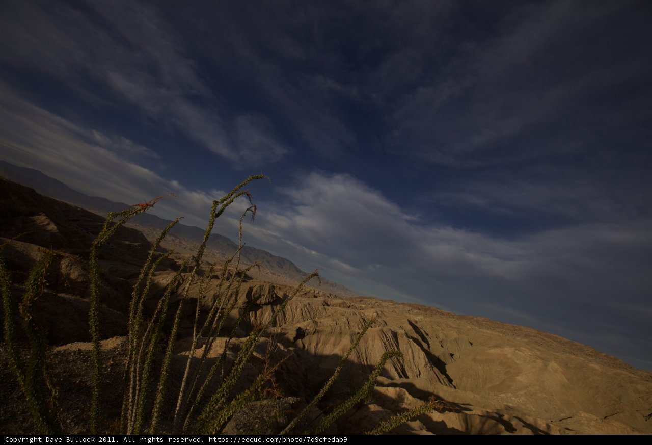 Desert Dweller