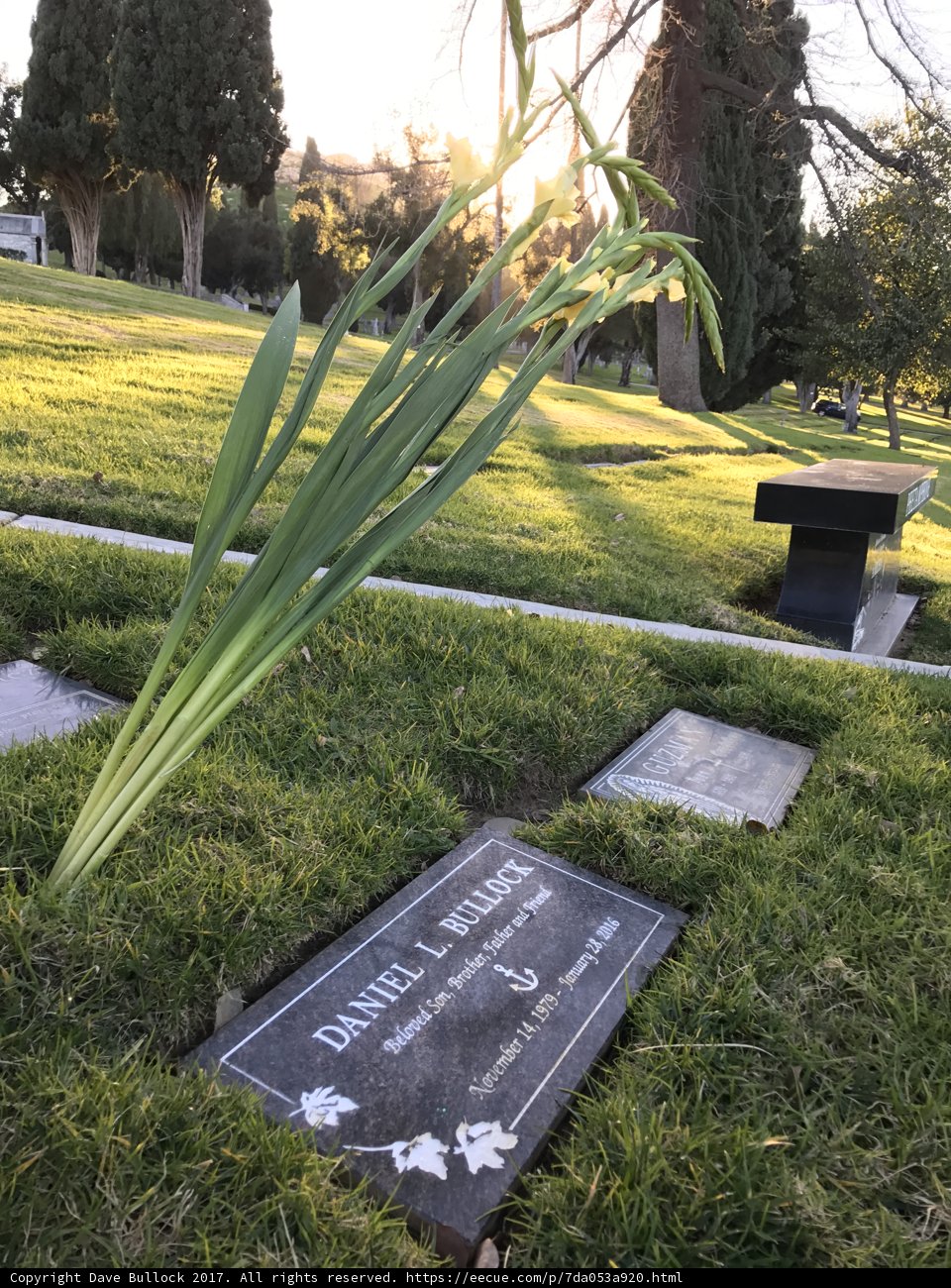 The Greenery in Memory