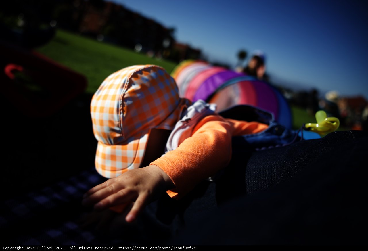 Fun in the Sun: Baby's Day Out
