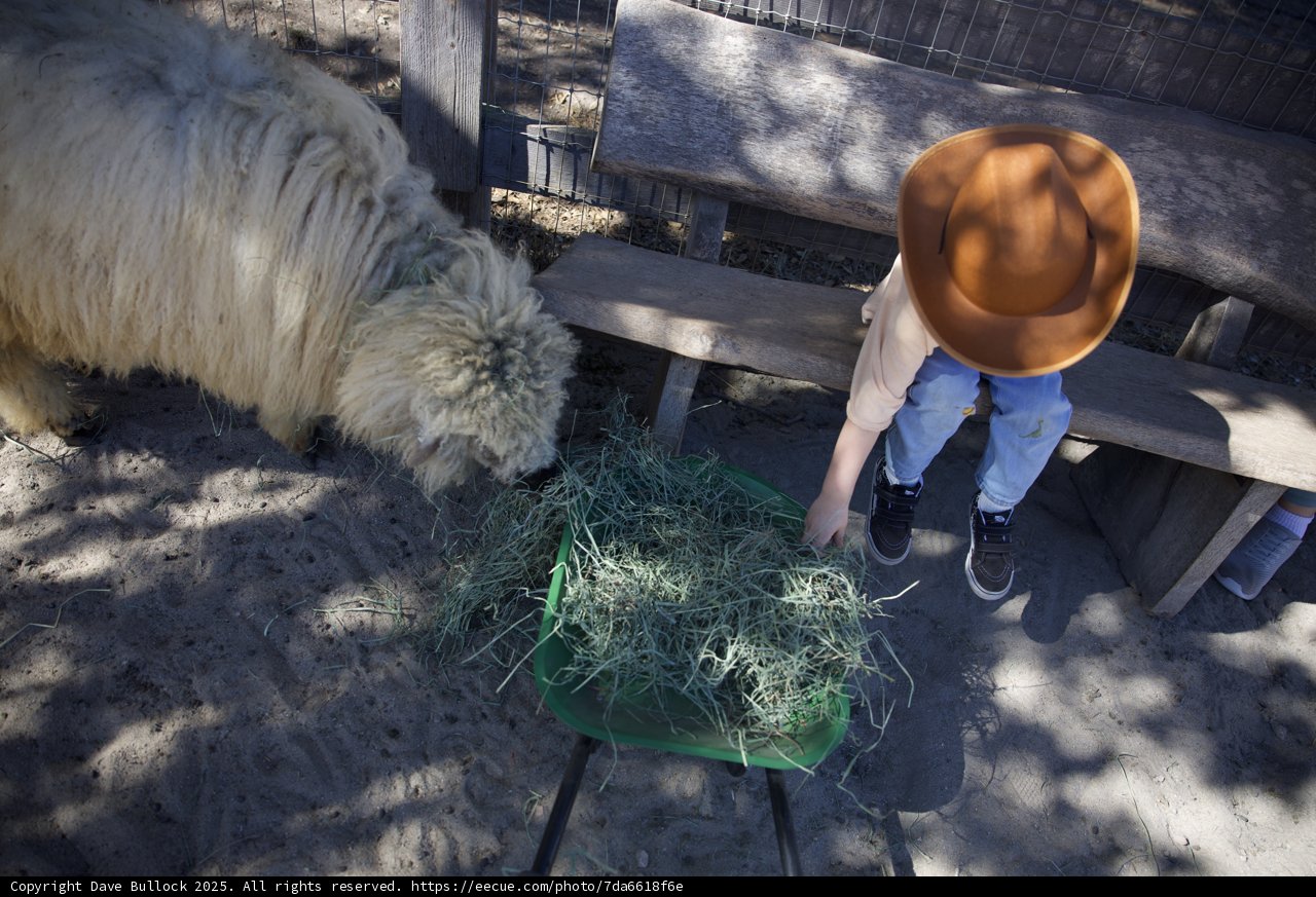 Little Rancher’s Day Out