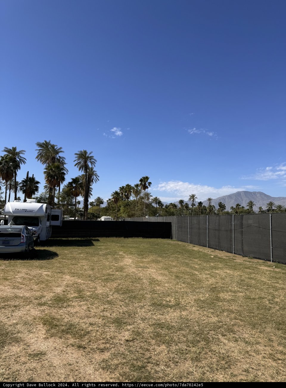 Sunlit Oasis: Vehicles Amid Coachella's Palms