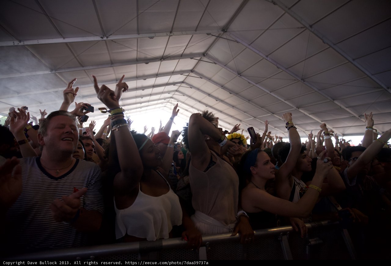 Music Festival Bliss