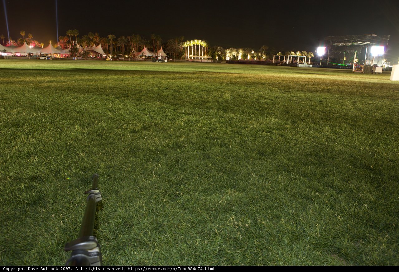 Field of Grass at Coachella