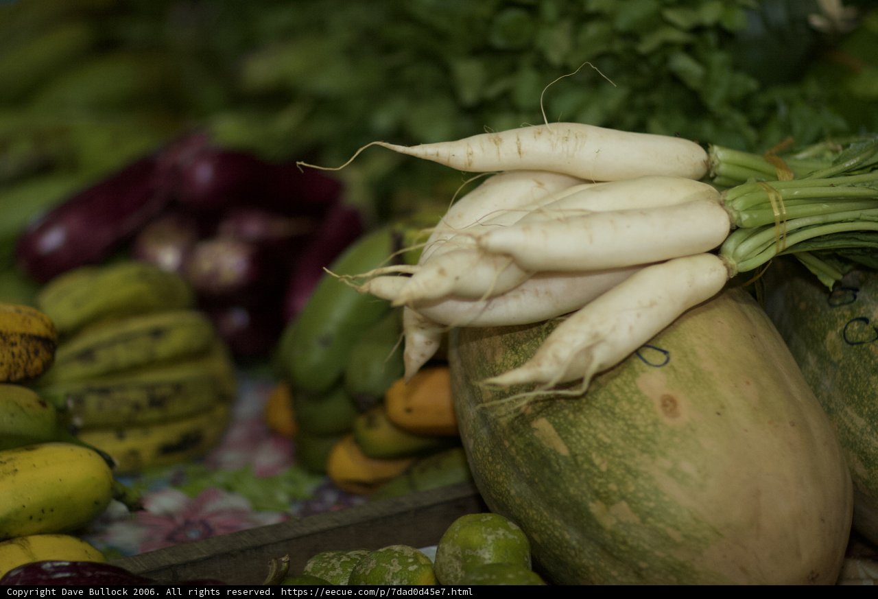 Bountiful Harvest