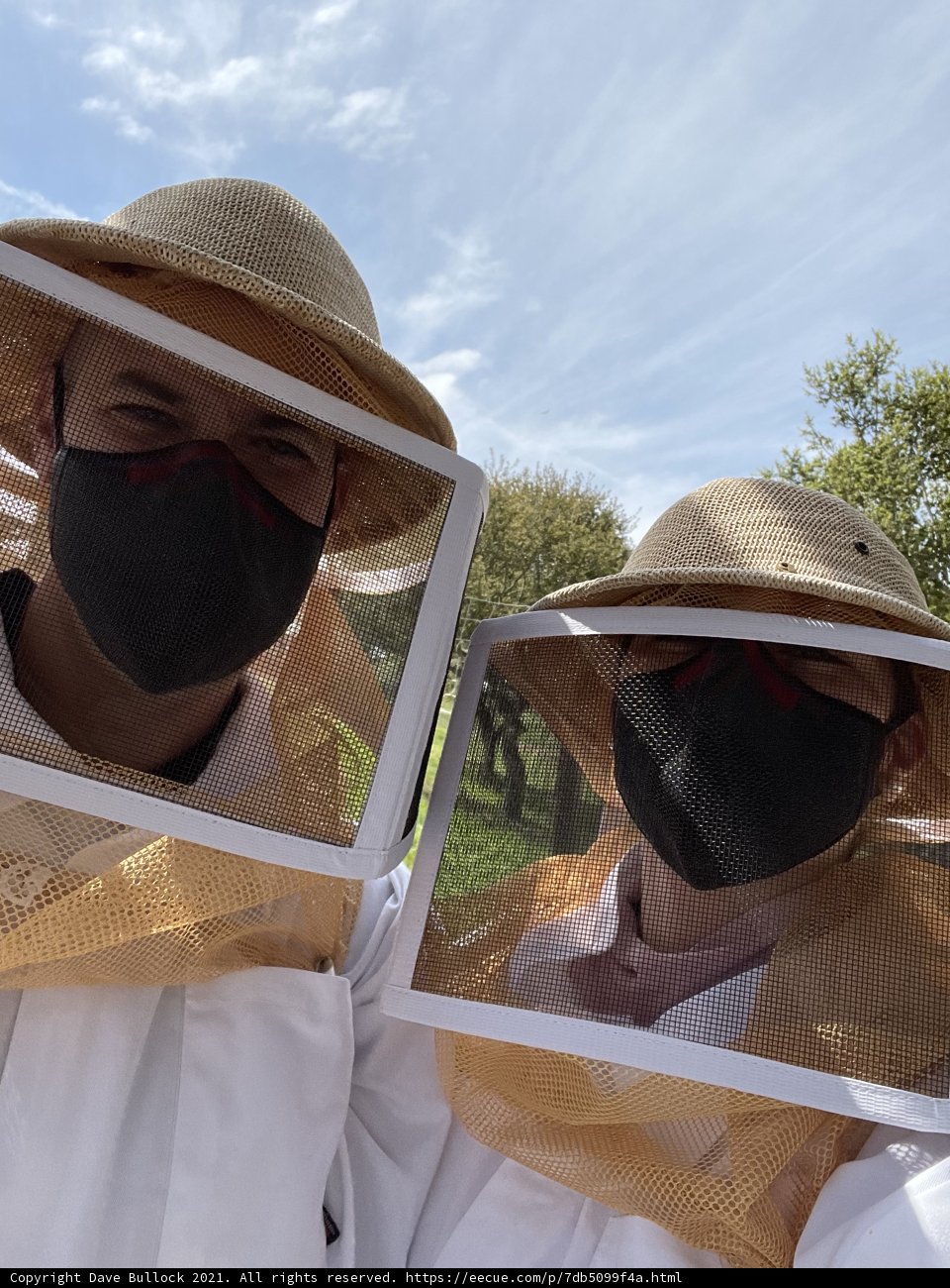 Beekeeping in Carmel
