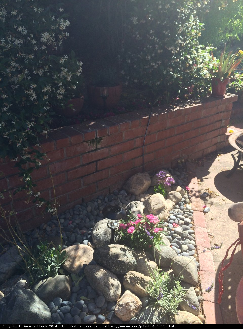A Decorative Rock Wall with Flourishing Plants