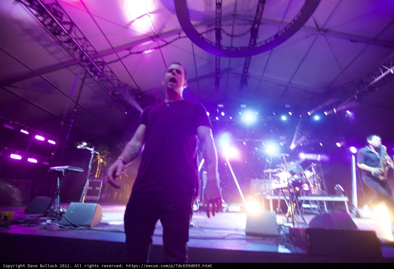 Purple Haze Performance